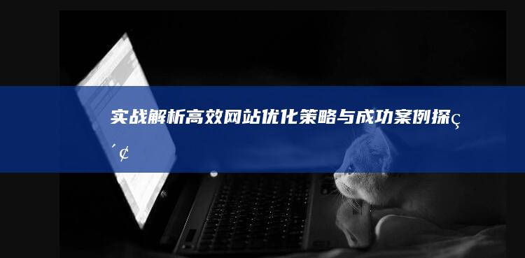 实战解析：高效网站优化策略与成功案例探索